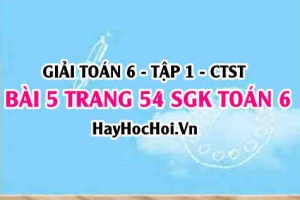 Giải bài 5 trang 54 Toán 6 Tập 1 SGK Chân trời sáng tạo